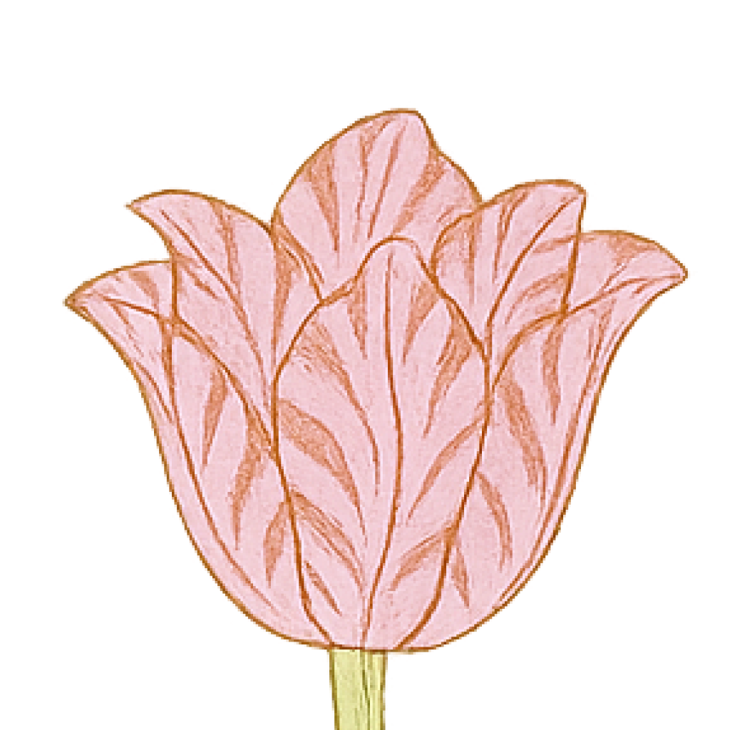 Floral decoration